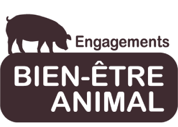 bien-être animal porc