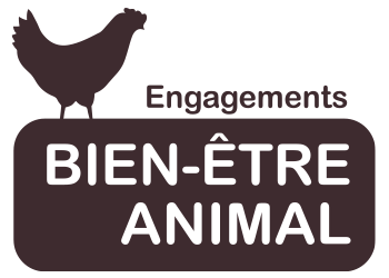 bien-être animal poulet