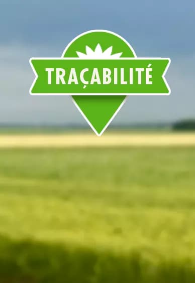 tracabilité