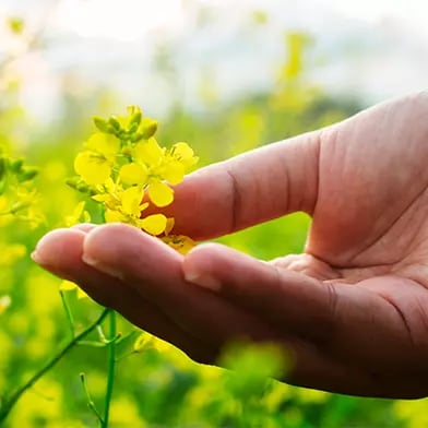 Découvrez nos actions environnement et biodiversité