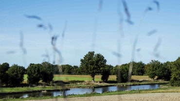 Anthony, éleveurs de volailles festives Label Rouge à Saint-Aubin-de-Baubigné (79)