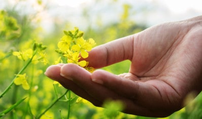 Nous participons à| développer la biodiversité