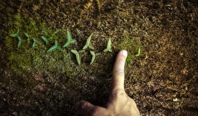 Nous contribuons à préserver| la nature qui nous entoure