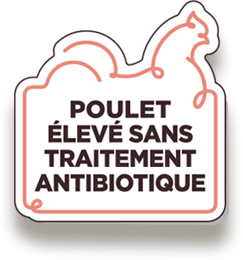 poulet élevé sans traitement antibiotique