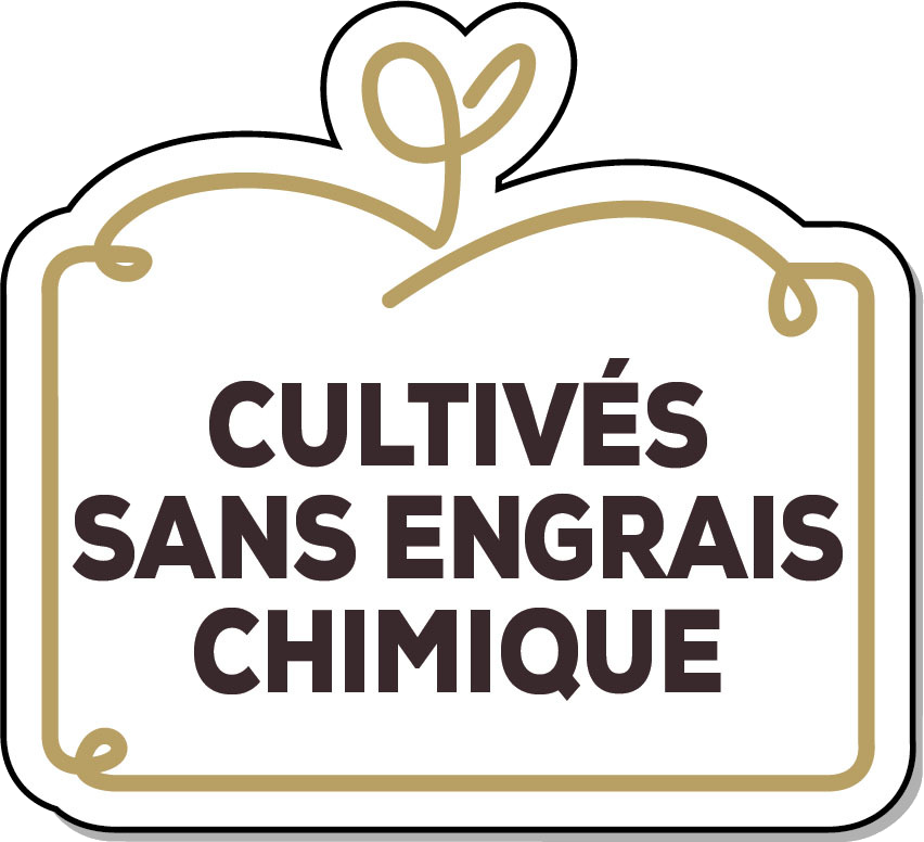 sans-engrais
