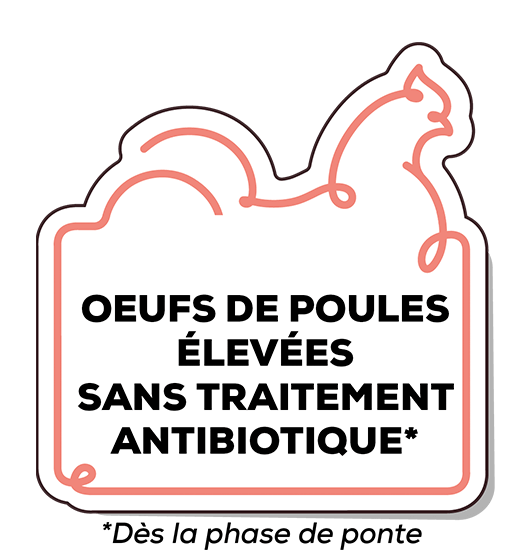 oeufs de poules élevées sans traitement antibiotique